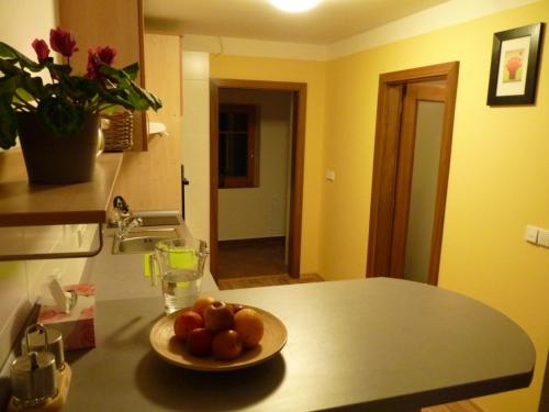 Apartmá Krkonoše