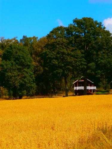 Accommodation in Linneryd