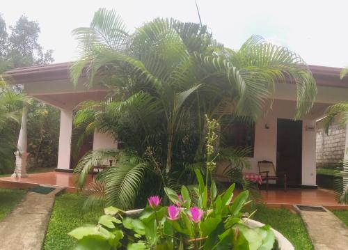 Budget Double Room room in Lal Home Stay