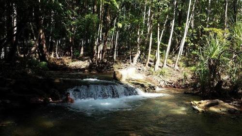 The Tropical Sanctuary