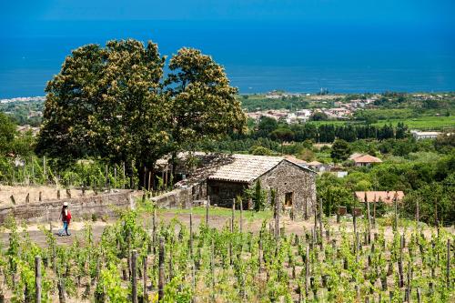 Monaci delle Terre Nere