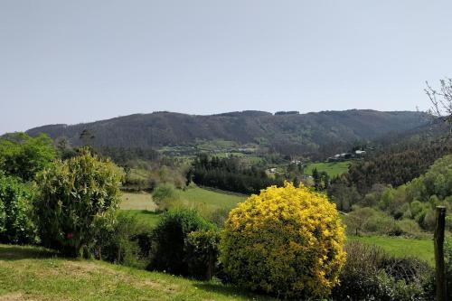 Casa do Gaiteiro - Casa de Aldea en O Pereiro