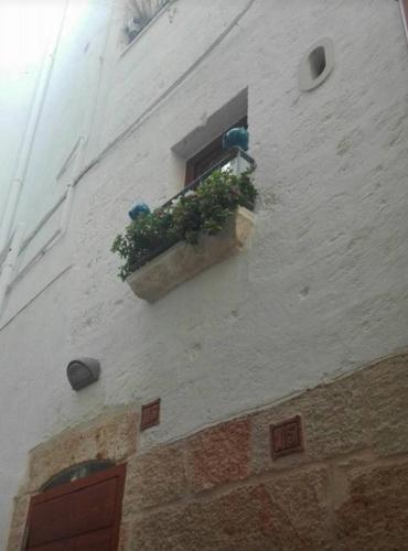 You & Me – Polignano a Mare, LA