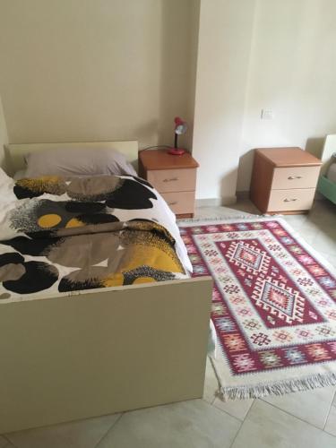 Nina Guest House, Tirana (foto 11)
