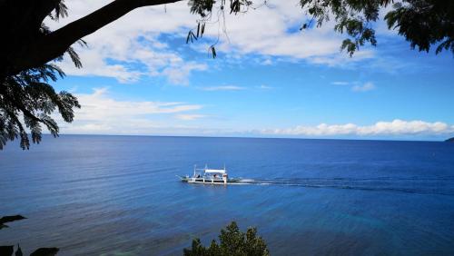 Bohol Lahoy Dive Resort in Guindulman