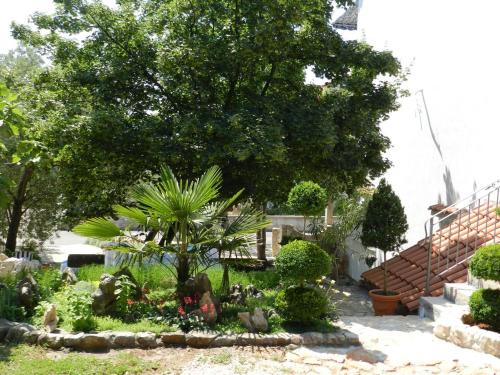 Apartments with a parking space Sveti Vid Krk - 16955 - image 8