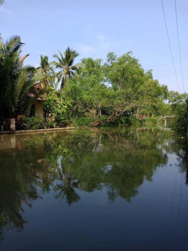 Young Coconut Garden Home Resort In Amphawa Thailand 200 - 