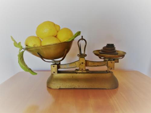 Lemon Tree Courtyard - image 9
