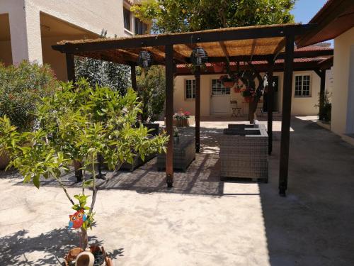 Lemon Tree Courtyard - image 10