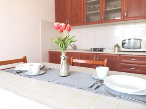 Apartments Ana Medulin - image 13