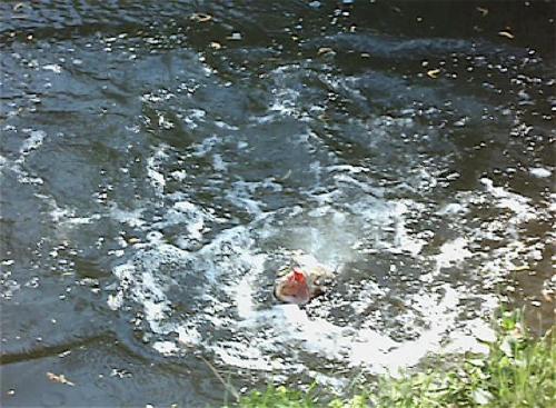 L'Autourserie - main image