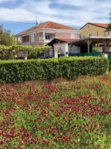 Apartments Fuchs - image 7