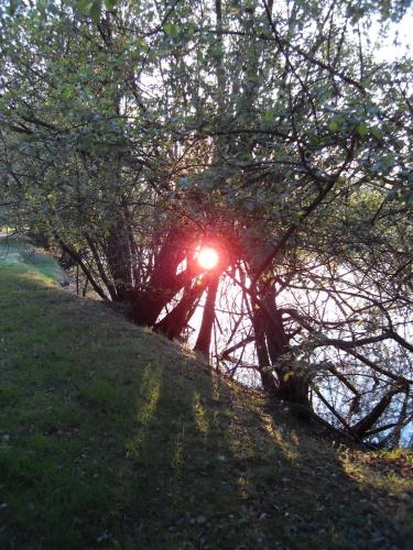 L'Autourserie - image 13