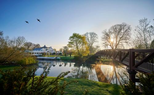 Monkey Island Estate - image 10