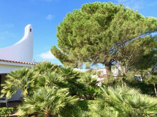  Villa Le Palme in Rosa Marina