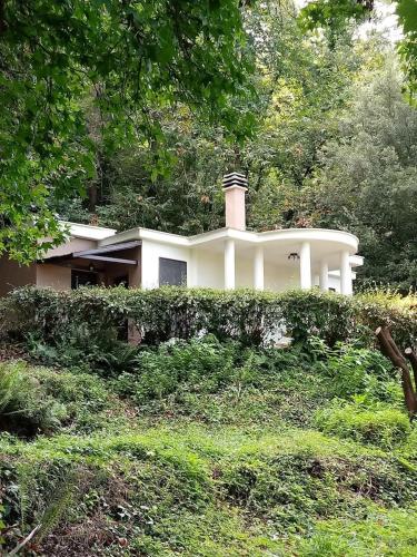  Villa nel bosco con accesso diretto al lago, Pension in Genzano di Roma