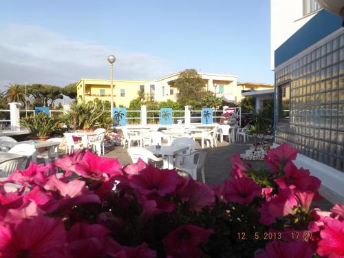 Eingang, Hotel Le Palme in Sabaudia