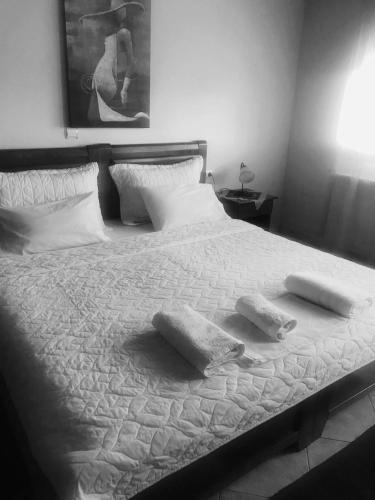 Guesthouse Adonis - image 11