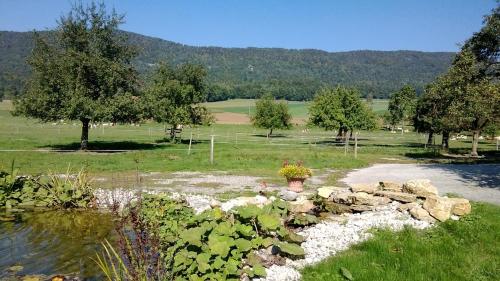 Apartement-Gîte rural à 3 km de Delémont