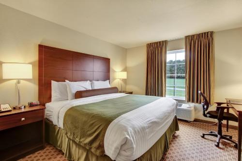 1 king bed