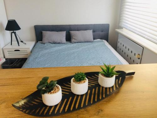 Apartament Adrianna, Iława