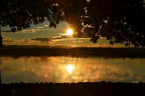 Domek nad Odrą