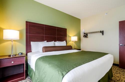 1 king bed