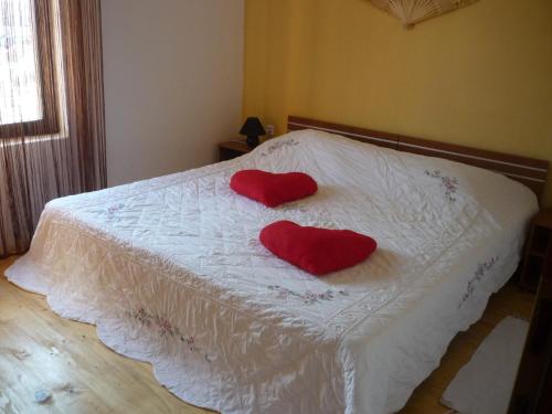  house 193546-Holiday apartment A2-Karla in Gornji Karin