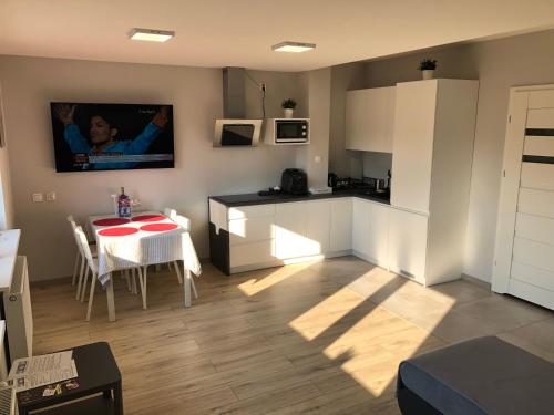 Klimatyzowany Apartament Londyn