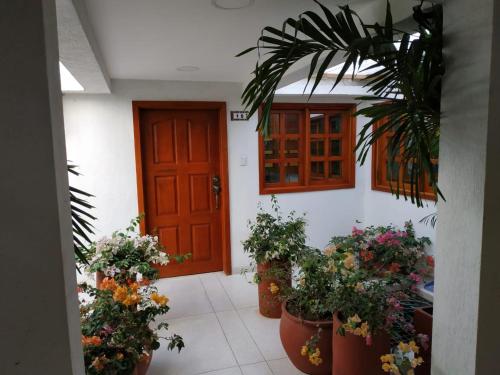 Three-Bedroom Apartment image 1