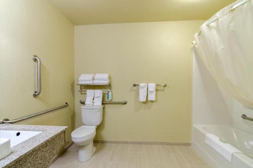Cobblestone Inn & Suites - Lakin - 샤워실