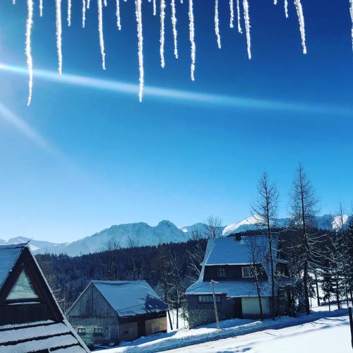 Apartment Tiffany Apartment Tiffany