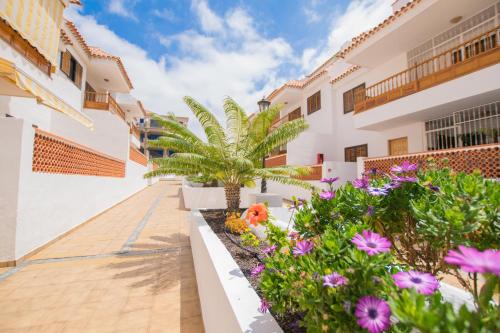 El Cardon Las Vistas - TENESOL RENTALS