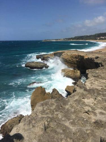 MEDUSA'S HOSTEL in Aguadilla