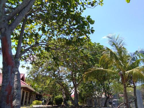 Ancelle Cristo Re – Cebu City, IL