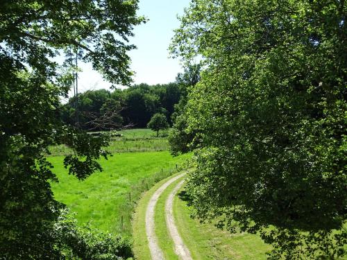 Château de la Redortière