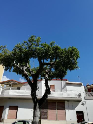 Case degli Avi, camere nel Borgo marinaro