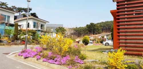 大川巴羅村度假屋