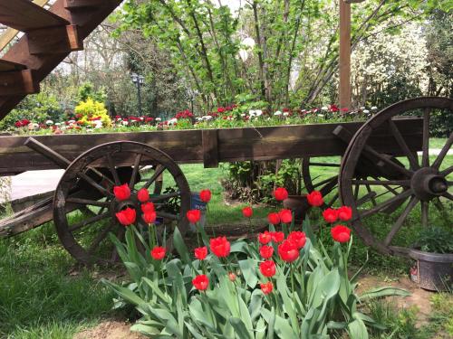 My Green Boutique Hotel - image 13