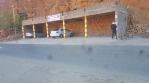 棕榈树宾馆 棕榈树宾馆