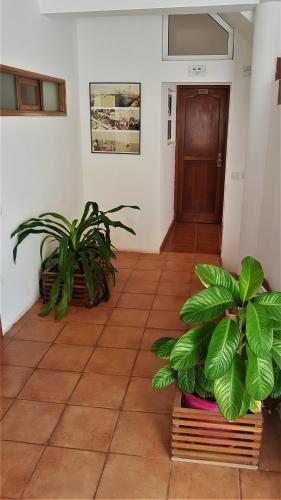 Residencial Che Guevara Bed & Breakfast