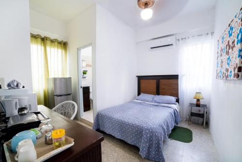 Apartamentos Magallanes Romana