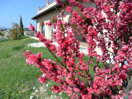 Agriturismo alla Solagna