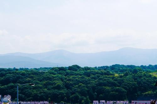 Lux Apartment - image 3