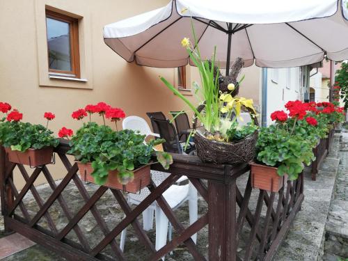 Olze Panzió (Olze Panzio) in Erdőbenye