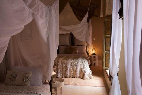 The Bohemian Jungle – Marrakech, KY