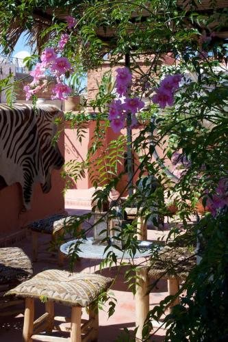 The Bohemian Jungle – Marrakech, KY