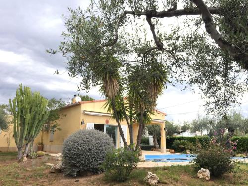 La Inopia, L'Ampolla (Foto 9)