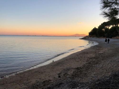 La Inopia, L'Ampolla (Foto 10)