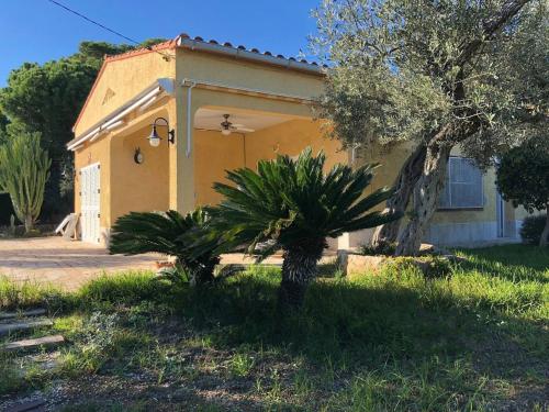 La Inopia, L'Ampolla (Foto 6)